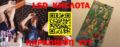 ГАЛЛЮЦИНОГЕННЫЕ ГРИБЫ Кандалакша